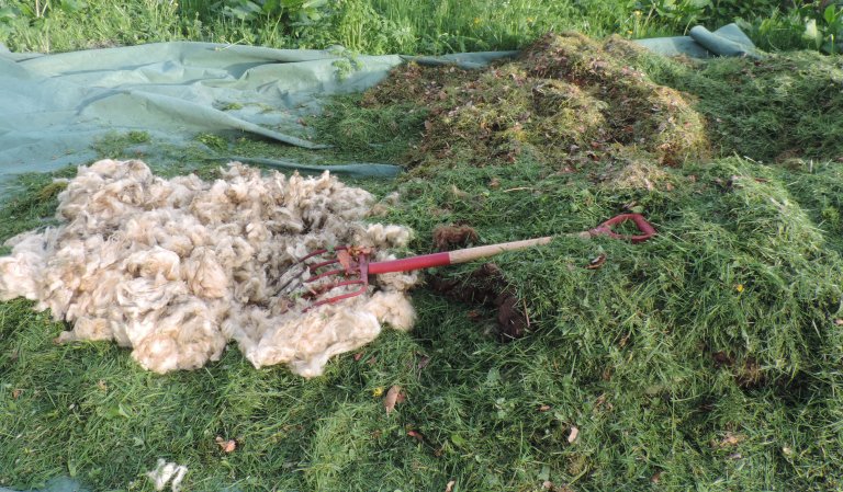 Ull blandet med gressklipp i kompost_Kirsty McKinnon.JPG