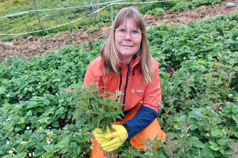NIBIO-forsker Eva Narten Høberg. Foto: NIBIO