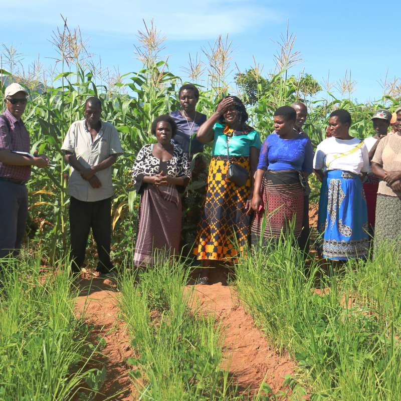 masai village_cropped