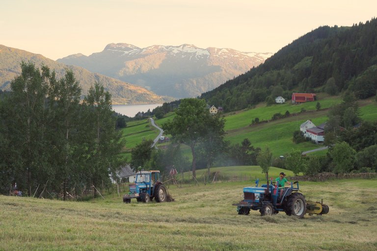Slått på Henrikgarden, Stårheim i Nordfjord. Typisk jordbrukslandskap frå Vestlandet. Foto: Ulrike Bayr, NIBIO