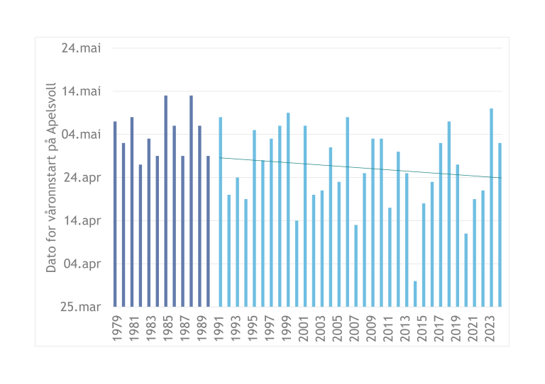 Data for våronnstart på Apelsvoll (1979-2024). Trenden for perioden etter grøftingen i 1990, viser oppstart av våronn.