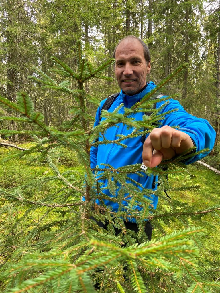 Professor i skogskjøtsel ved NMBU Andreas Brunner. Foto: Cathrine Glosli, NMBU