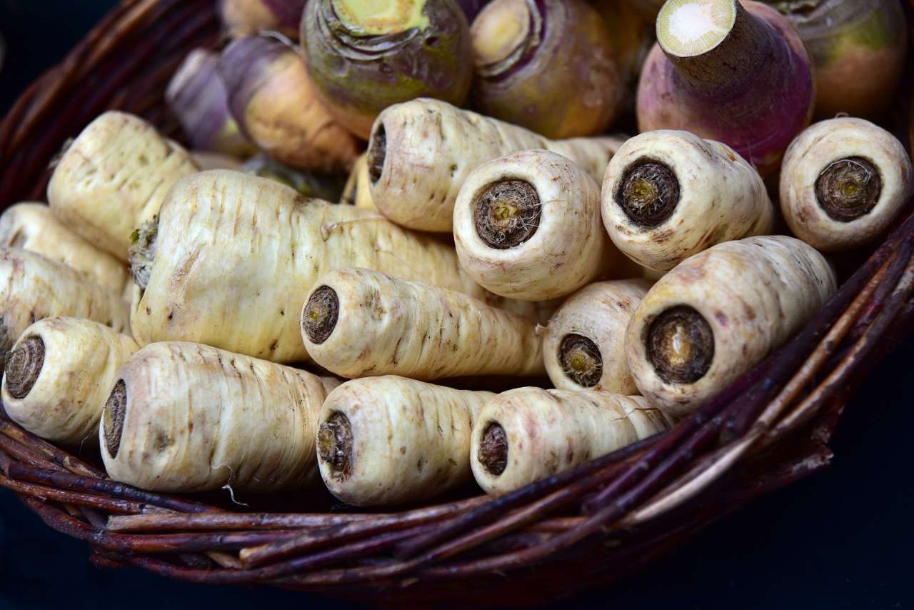 parsnips-3860993_1920