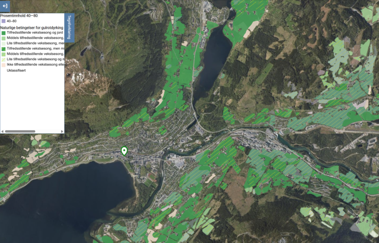 Den mørkegrøne farga på kartet syner at Voss har eit klima som høver for dyrking av gulrot. Areala med gule skråstrekar er areal der jordtilhøva ikkje er optimale. Kilden.nibio.no, ©Geovekst