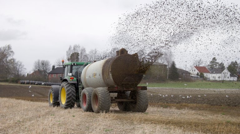 Boka oppgir også hvor mye gjødsel ulike plantekulturer trenger og hvor mye nitrogen, kalium og fosfor det er i møkk fra ulike husdyr. Foto: Svein Skøien