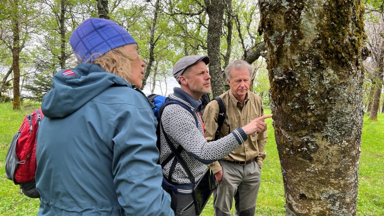 NIBIO-forsker Thomas Holm Carlsen er en av mange biologer som hvert år samarbeider om å kartlegge ulike naturtyper i Norge. Foto: Liv Jorunn Hind