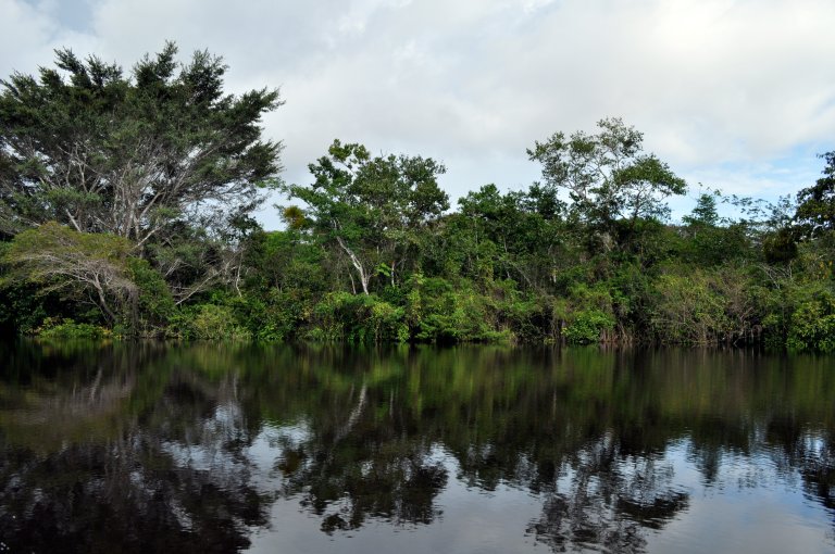 Amazon - Orinoco river in Colombia - Photo Fredy Ochoa - NIBIO.JPG