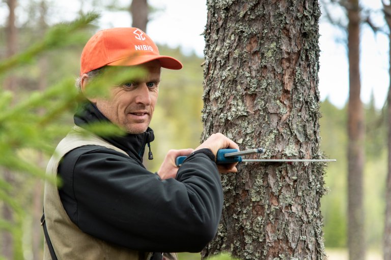 Landsskogtakseringens inventører er ute hvert år for å registrere skogens tilstand. Den norske Landsskogtakseringen er verdens eldste landsdekkende skogtaksering. Her er Erik Sørensen i aksjon. Foto: Lars Sandved Dalen