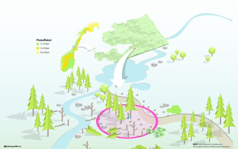 Landsskogtakseringen er en utvalgskartlegging av arealer og skogressurser i hele Norge. Kartleggingen er basert på registreringer utført på 22 000 permanente prøveflater, som er lagt ut systematisk i forskjellige forband. På arealer under barskoggrensen ligger flatene i et forband på 3 x 3 kvadratkilometer, over barskoggrensen er forbandet 3 x 9 kvadratkilometer og i bjørkeskogområdene i Finnmark er forbandet 9 x 9 kvadratkilometer. Illustrasjon: NIBIO