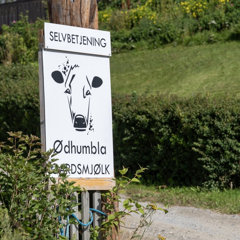 ​  ​ Foto: Lars Sandved Dalen, NIBIO ​  ​