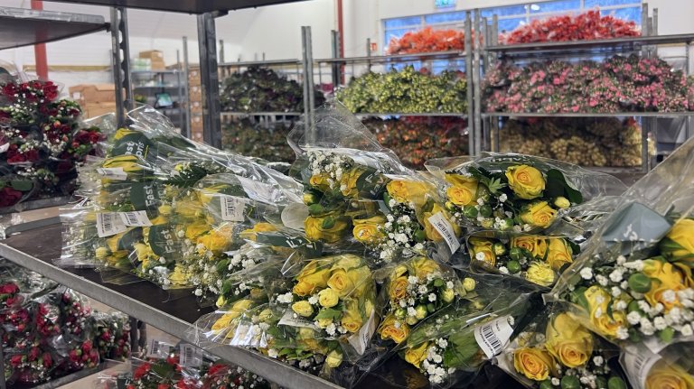 Gartnere, blomsterforhandlere og – ikke minst – oss forbrukere bidrar til store mengder avfall i form av avkapp og visne blomster og planter. Dette planteavfallet inneholder ofte rester av ulike plantevernmidler brukt for å holde plantene friske. Foto: Kathrine Torday Gulden
