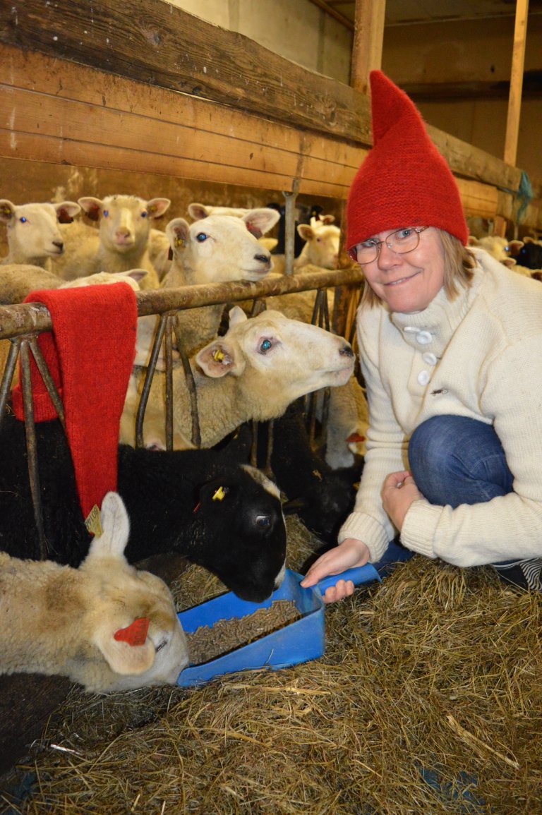 NIBIO-forskar Eva Narten Høberg, meiner vi blir meir opptekne av norsk matkultur når jula nærmar seg. Foto: Emil Narten Høberg