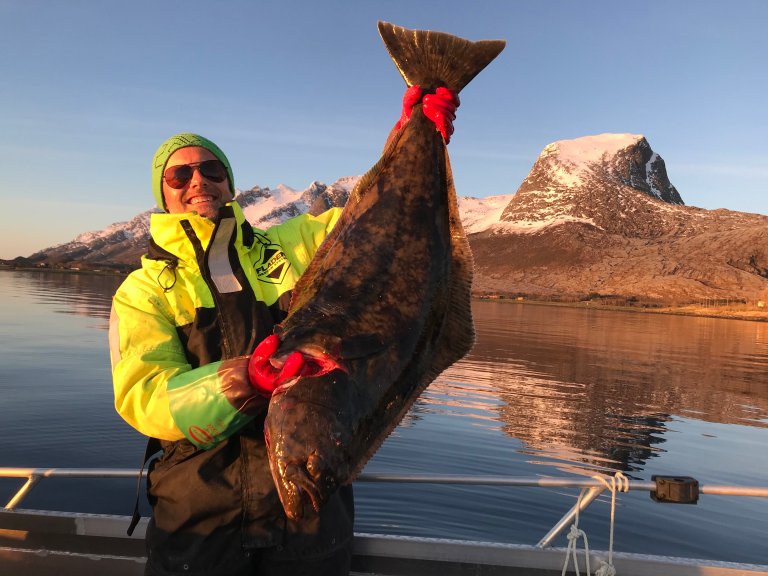 For mange er fersk kveite eller torsk ein viktig juletradisjon. Det er stor status og stas å fiske ei kveite tett oppunder jula. Foto: Liv Jorunn Hind