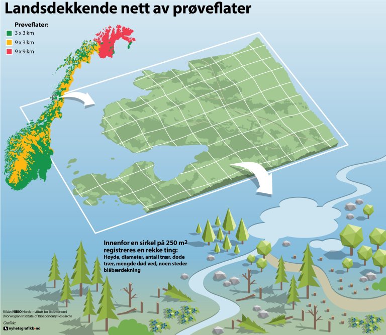 Landsskogtakseringen er en utvalgskartlegging av arealer og skogressurser i hele Norge. Kartleggingen er basert på registreringer utført på permanente prøveflater, som er lagt ut systematisk i forskjellige forband. På arealer under barskoggrensa ligger flatene i et forband på 3 x 3 kvadratkilometer, over barskoggrensa er forbandet 3 x 9 kvadratkilometer og i bjørkeskogområdene i Finnmark er forbandet 9 x 9 kvadratkilometer. Illustrasjon: NIBIO