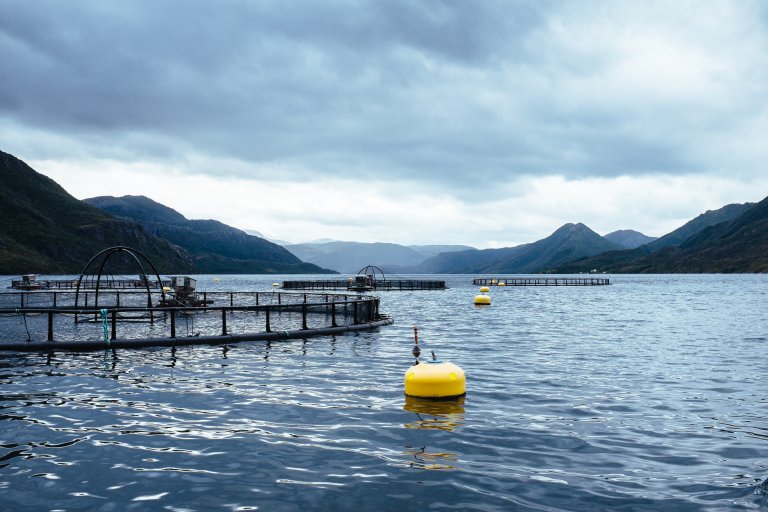 Fish farm in Norway - Image Credit Ragnar Våga Pedersen - NIBIO.jpg