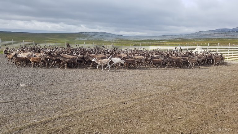 Mange farger og former.jpg