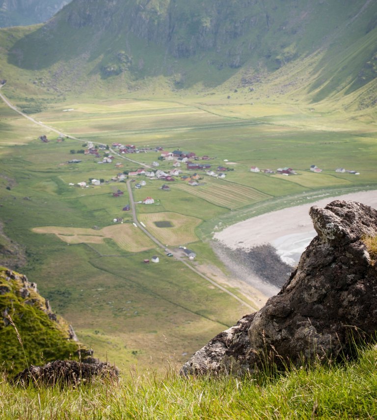 Tilskudd utgjorde i gjennomsnitt 48 % av produksjonsinntektene til de nordnorske bøndene i 2023. Foto: Lars Sandved Dalen