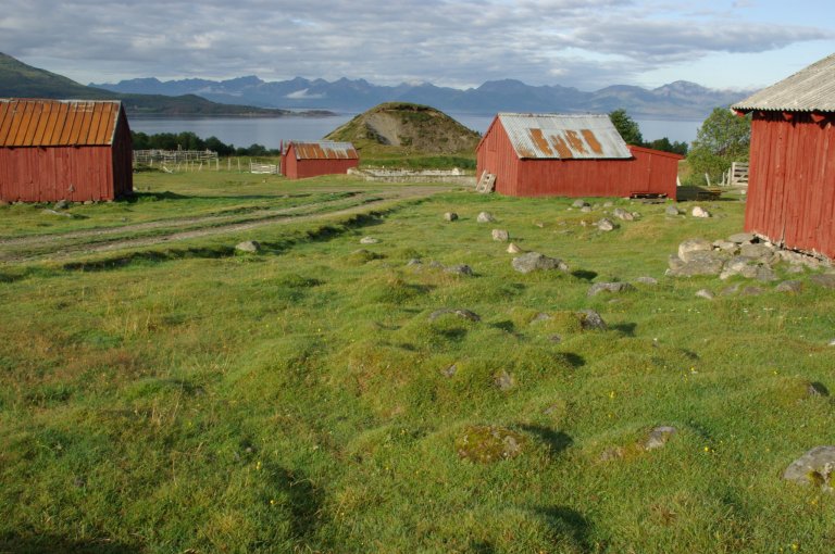 I Norge er det et politisk mål å ha landbruk over hele landet. Foto: Per K. Bjørklund