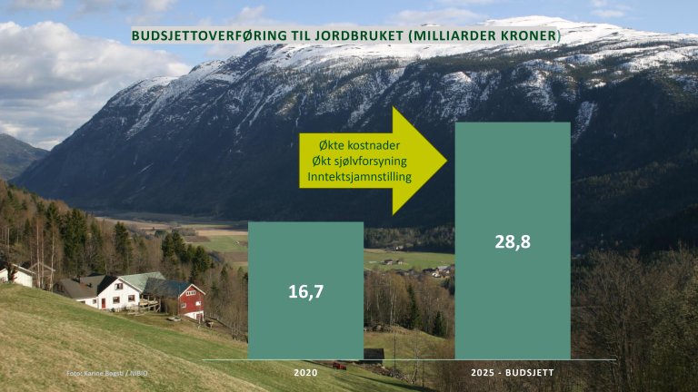 Budsjettoverføringer.jpg