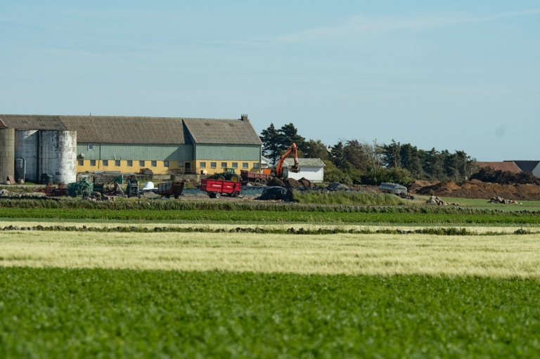 Tilskudd utgjorde i gjennomsnitt 18 % av produksjonsinntektene til jærbøndene i 2023. Foto: Erling Fløistad