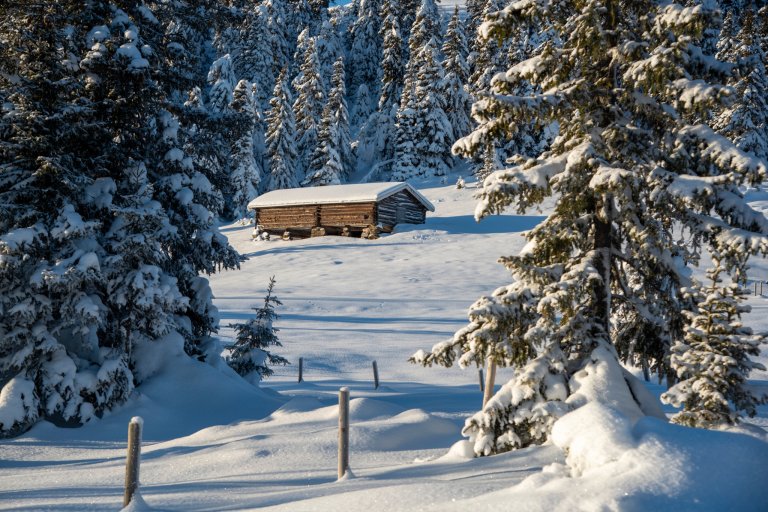 Kort vekstsesong begrenser avlingspotensialet, spesielt i nord og høyt til fjells. Foto: Dan Aamlid