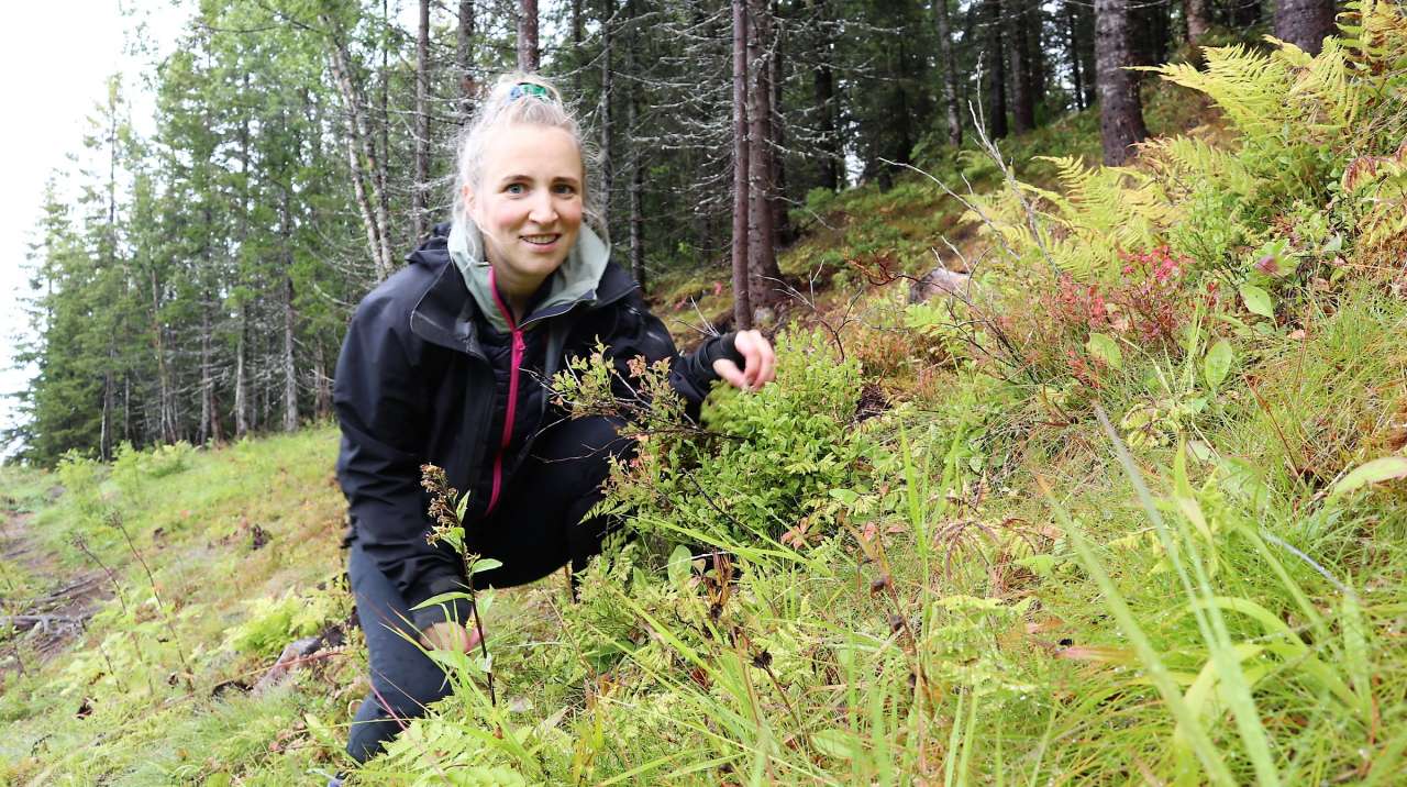 Bilde1_Anne Linn Hykkerud_Arnfinn Steindal_red