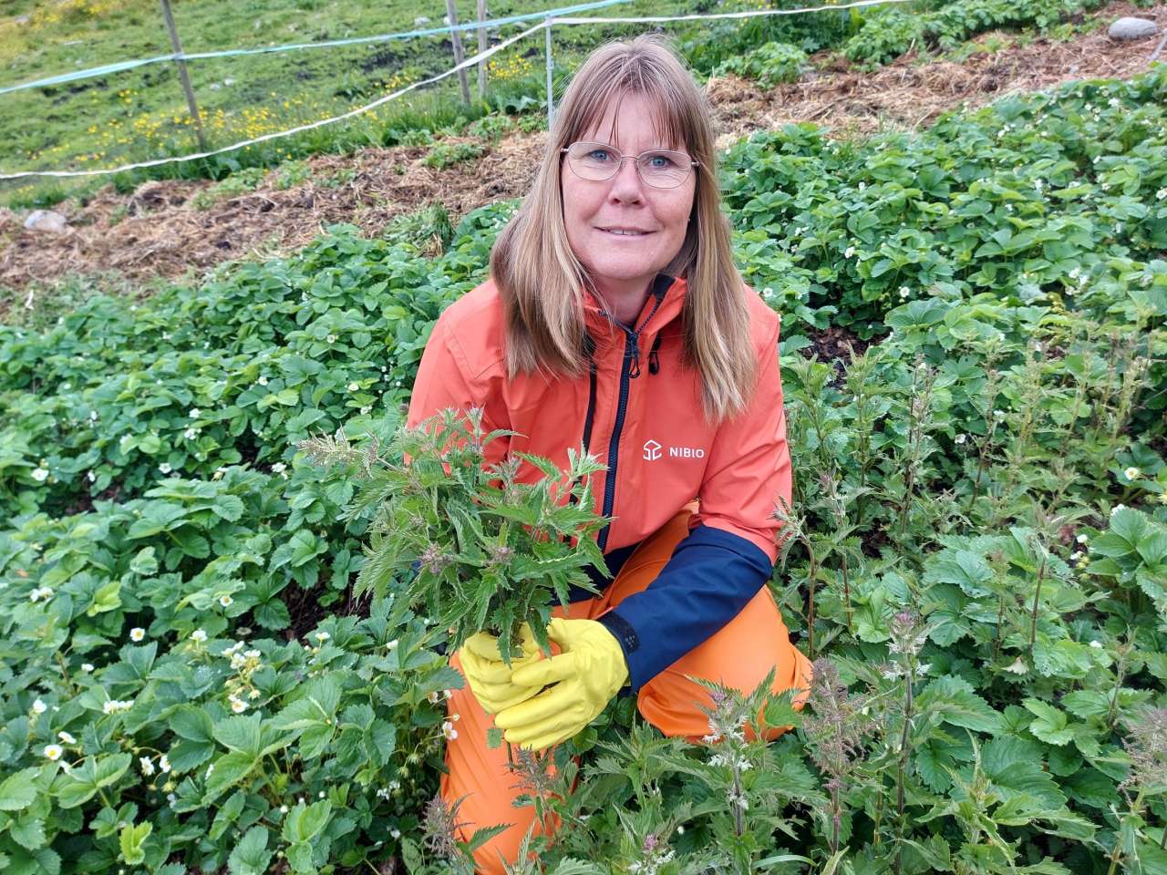 Eva Narten Høberg_NIBIO