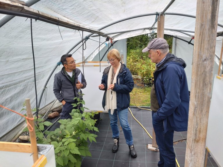 Sjefsingeniør Vinh Hong Le (t.v), forsker Nina Trandem (midten) og professor Arne Stensvand (t.h) diskuterer resultata frå forsøket. Foto: Silje Kvist Simonsen