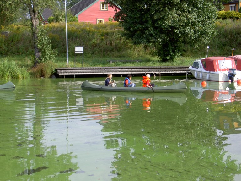 Kids in canoe in algae soup_ES.jpg