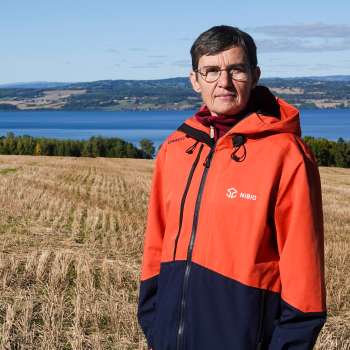 1-10-Bærekraft er ikke en målbar størrelse_Morten Günther