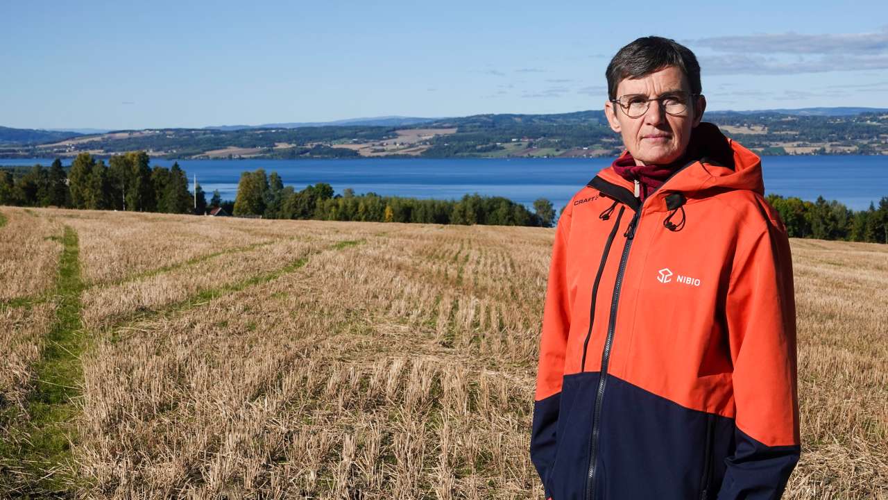 1-10-Bærekraft er ikke en målbar størrelse_Morten Günther
