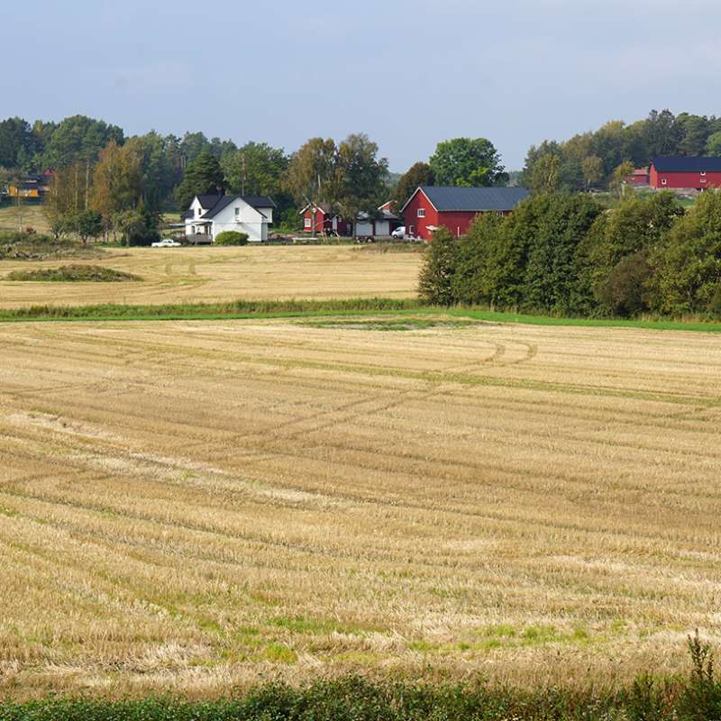 Gårdsbruk med jorde