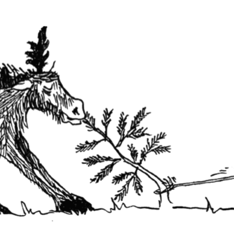 FLERBRUK tegning elg skogeier (c) HKW