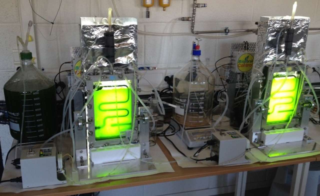 fig 3 photobioreactor