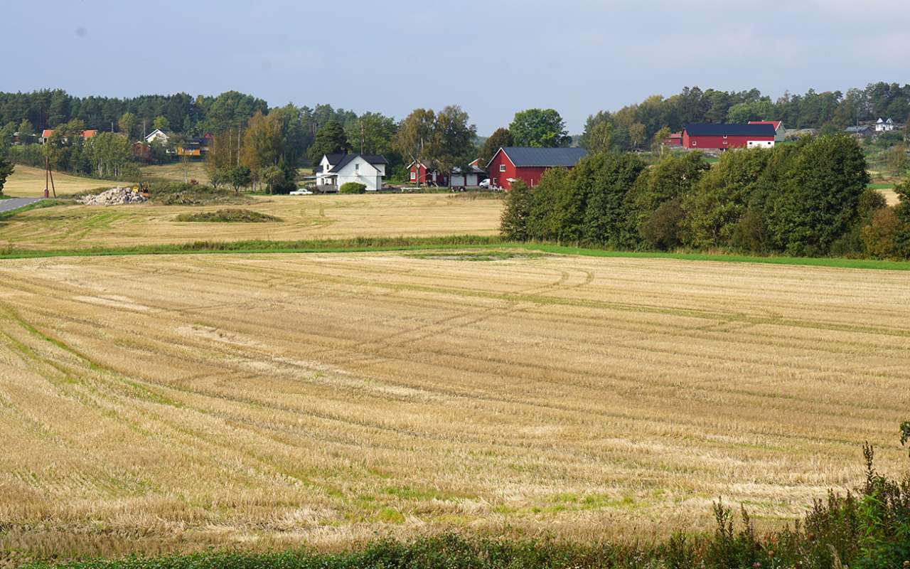 Gårdsbruk med jorde