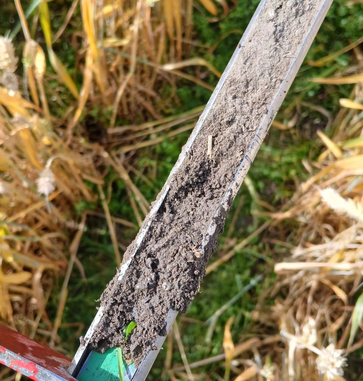 Soil sampling in BIO-CROP