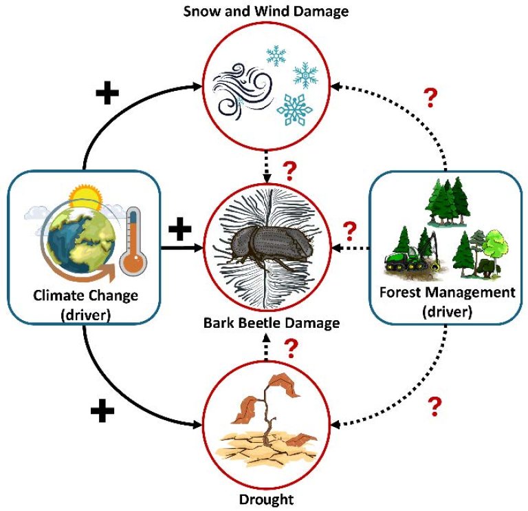 FORESIGHT figur.jpeg