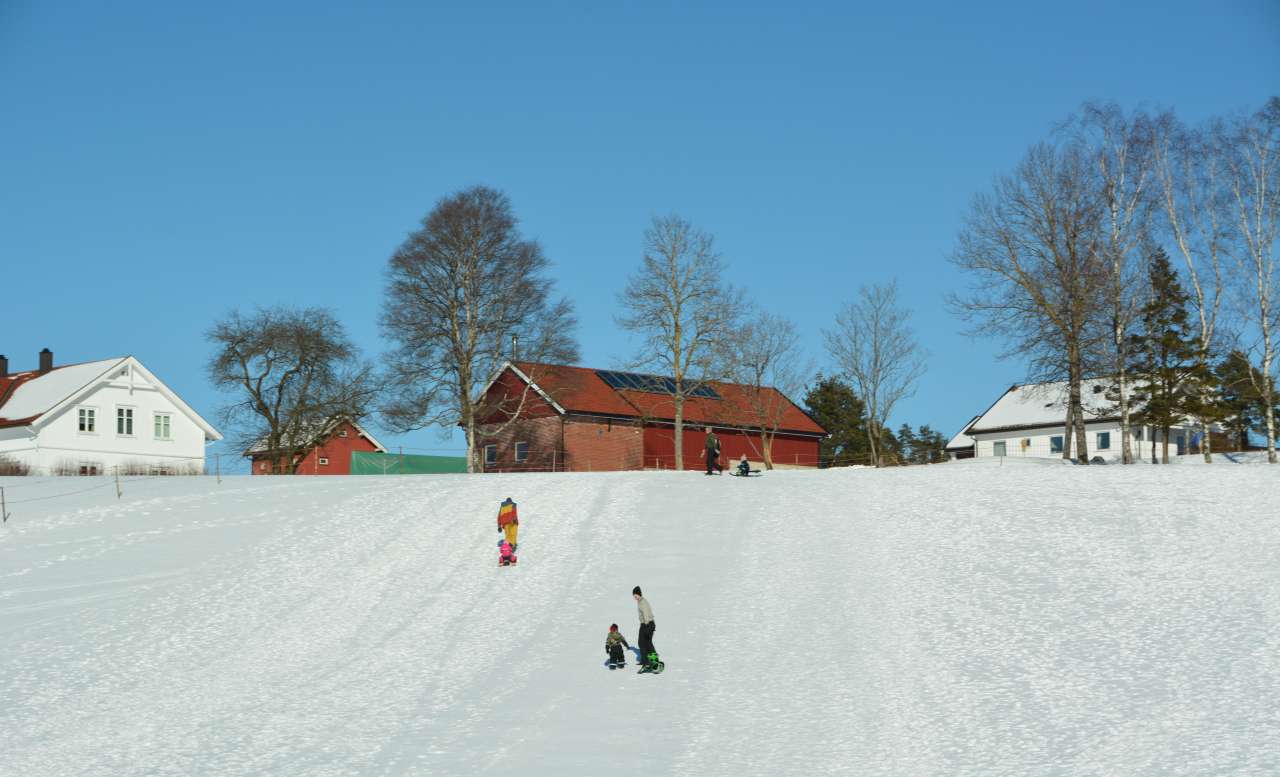 Barn i en akebakke utenfor gårdstunet