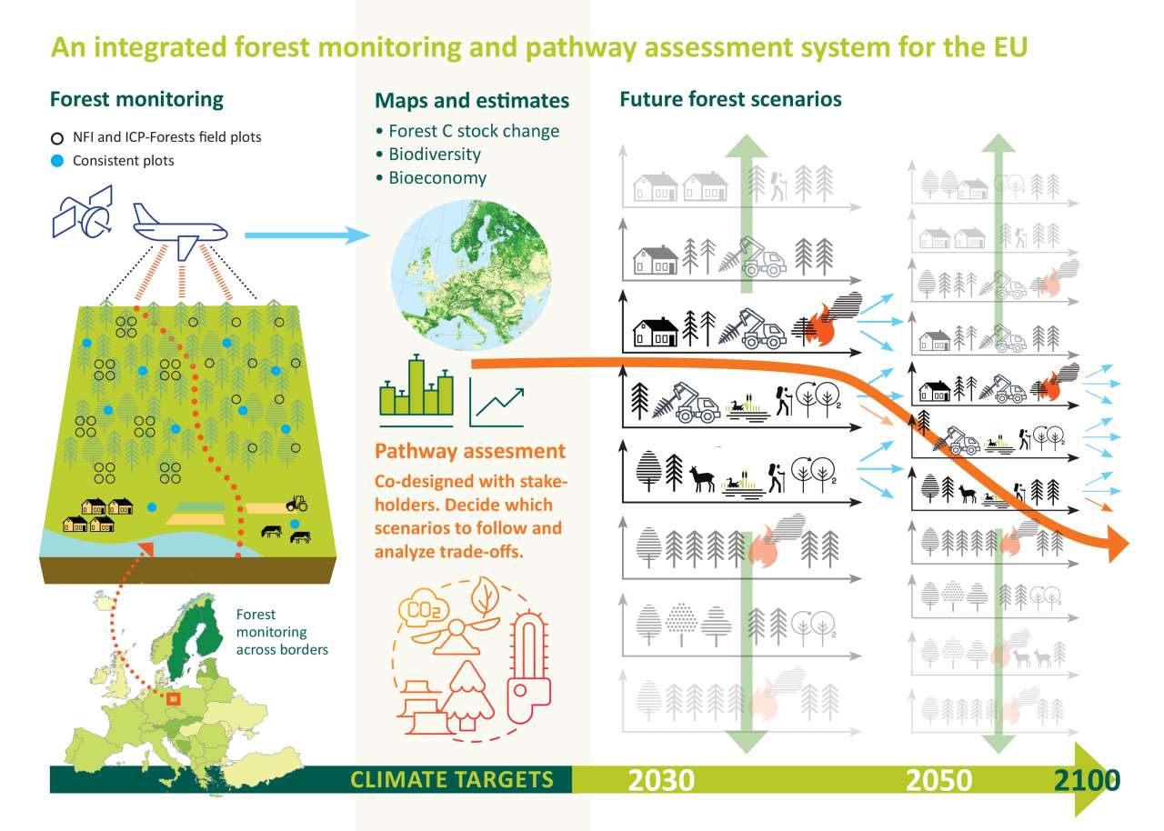 Pathway assesment graphic