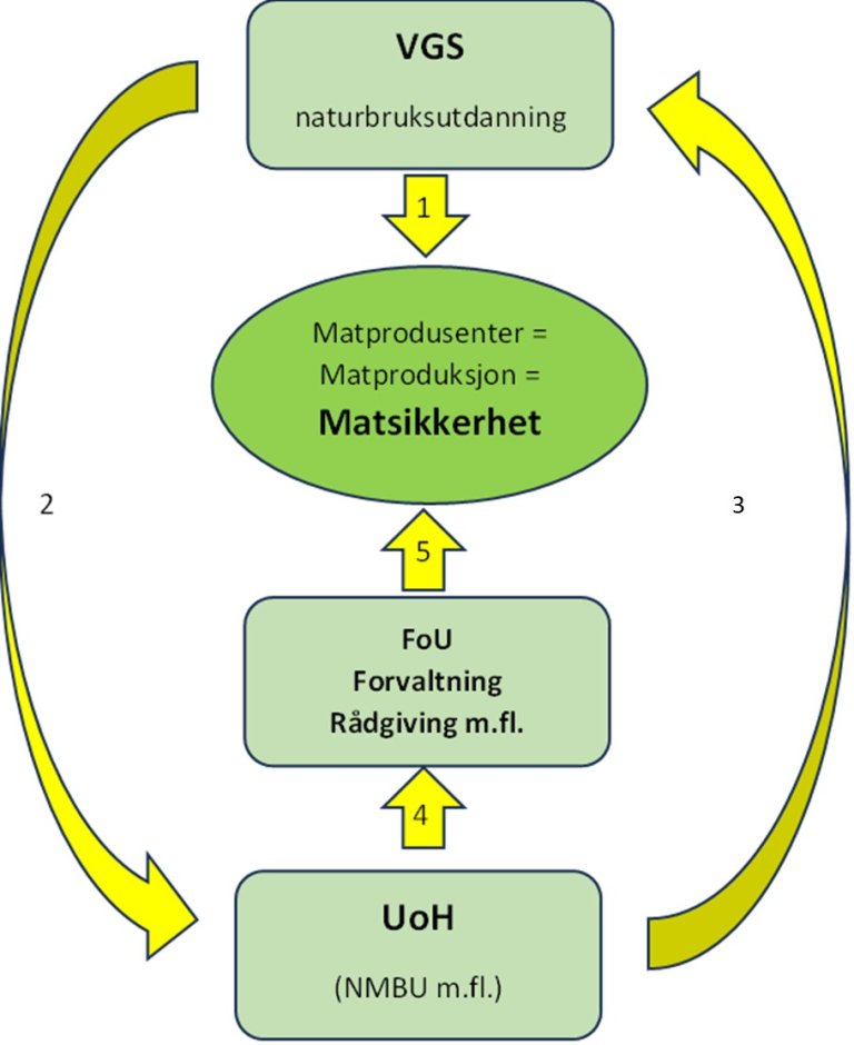 Figur_matsikkerhet.jpg