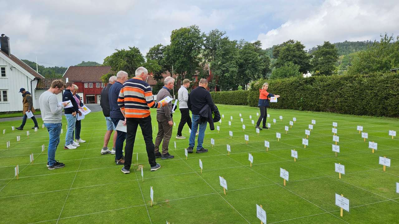 Scangreen på NIBIO Landvik under markdag den 9.september 2025