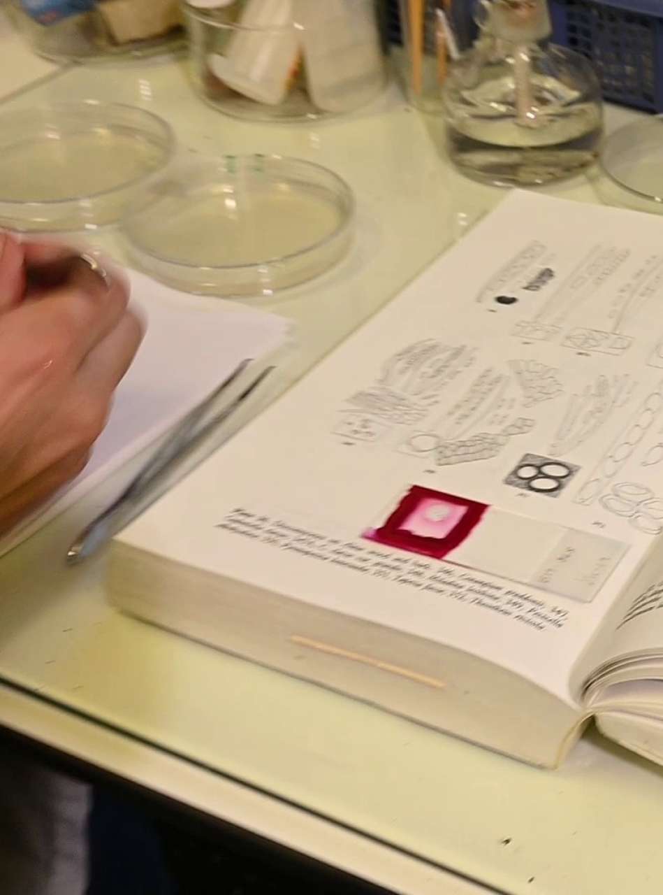 vlcsnap-2025-10-14-09h36m05s411