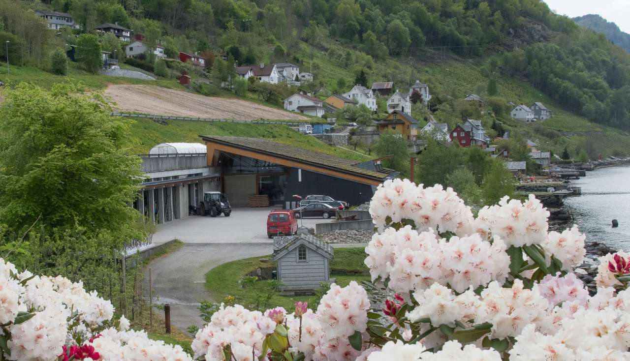  NIBIOs forskingsstasjon på Lofthus i Ullensvang