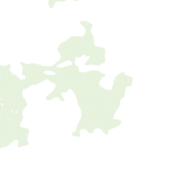 Vernform_2