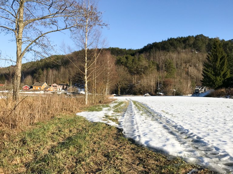 Snøsmelting i kanten av et jorde