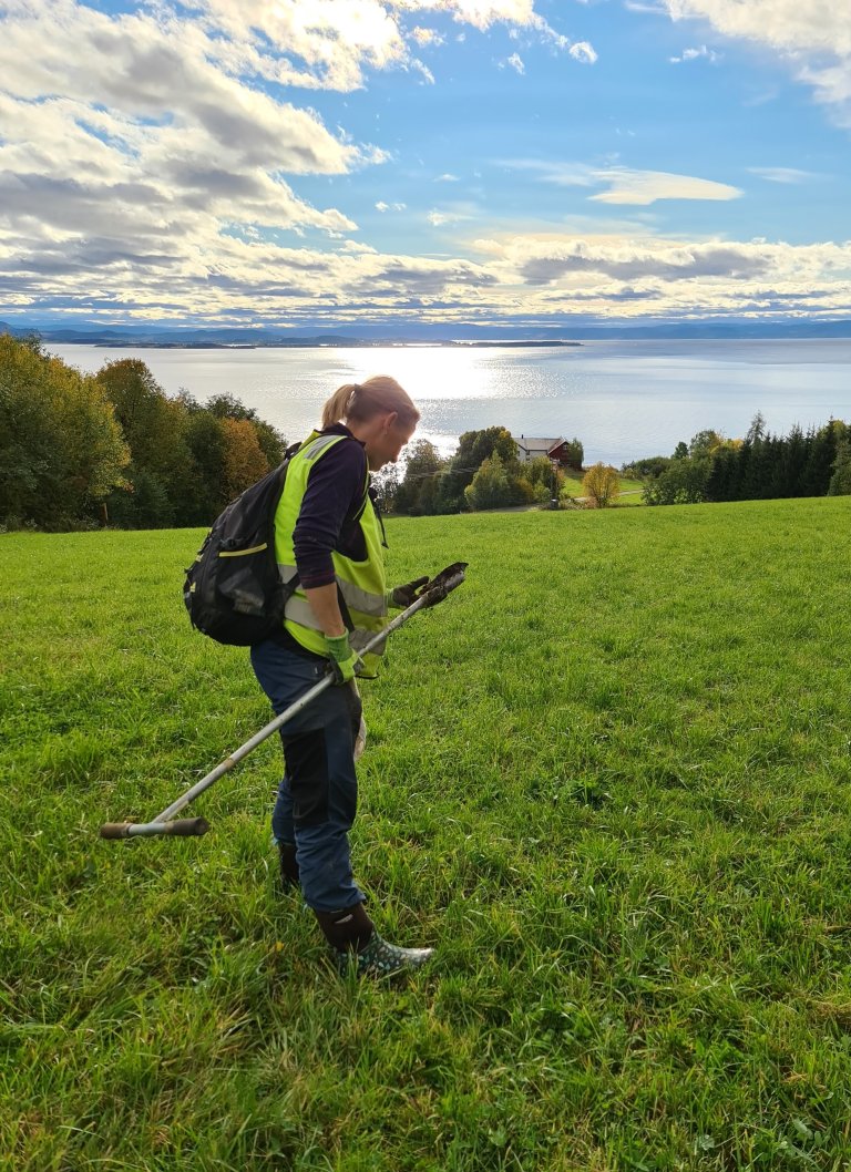 Hovedside_Jordkartlegging langs Trondheimsfjorden_Helene Stav.jpg