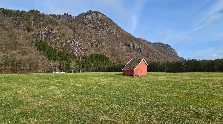 Agder_Grasareal langs Lyngna_Siri Svendgård-Stokke.jpg
