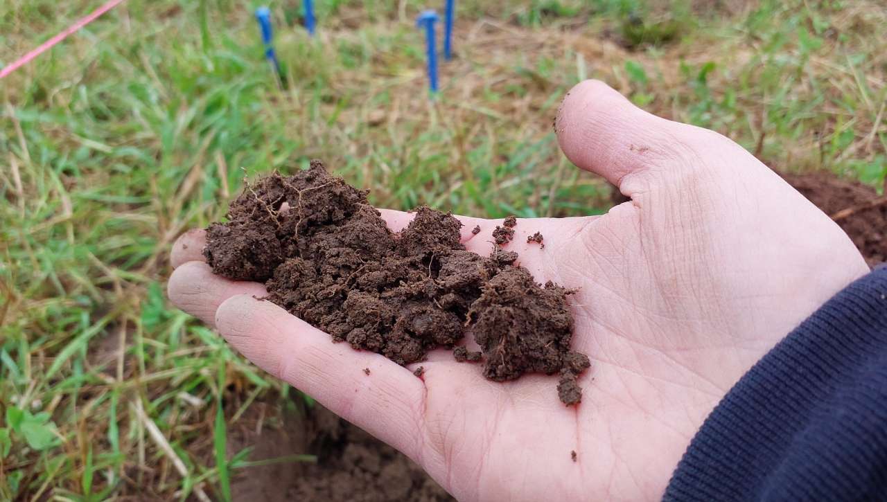 Jord i overflatesjiktet 