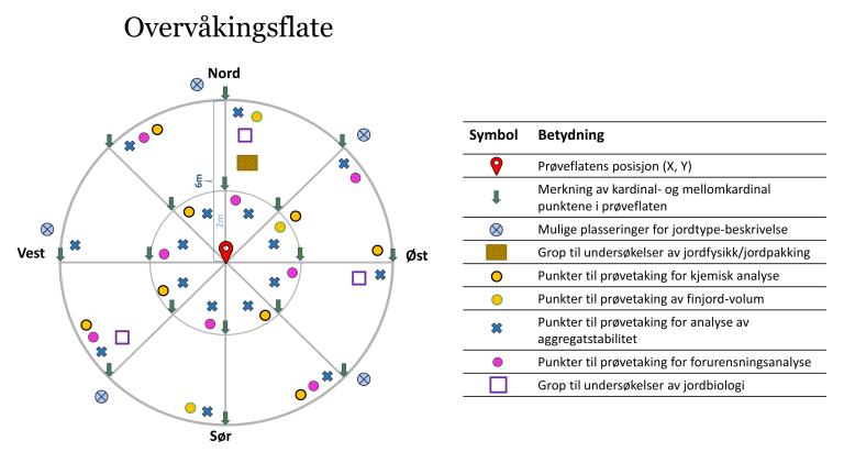 Figur: Skjematisk skisse av en overvåkingsflate med områder for prøvetaking og feltregistreringer til ulike formål. En overvåkingsflate dekker et areal på ca.100 m2