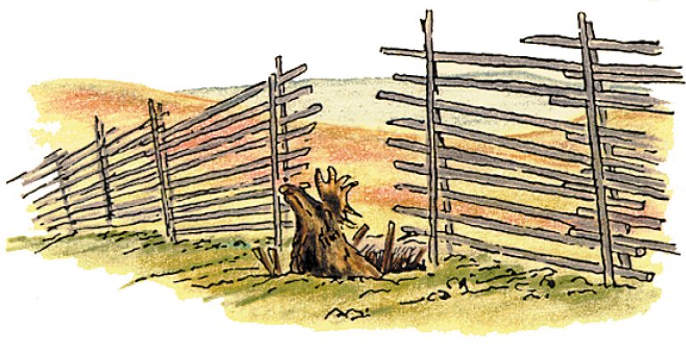 Tegning av en elg i fangstgrop